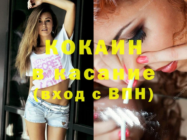 гашик Корсаков
