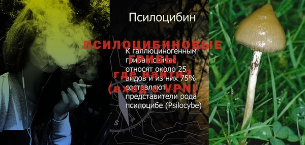 COCAINE Краснослободск