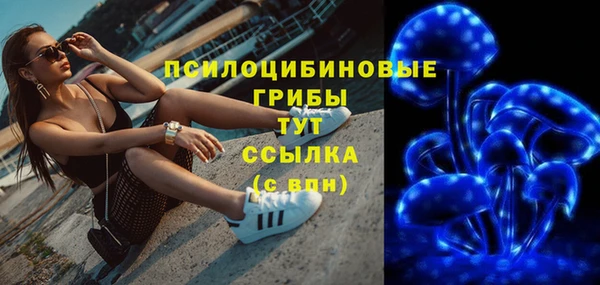 стафф Михайлов