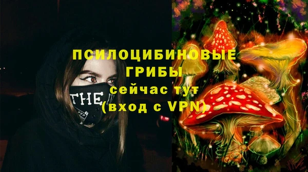 гашик Корсаков