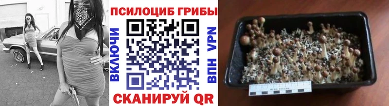 Галлюциногенные грибы MAGIC MUSHROOMS  Сурск 
