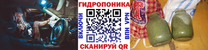 Конопля Amnesia Сурск